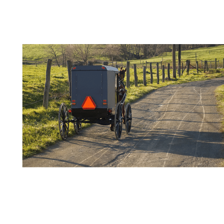 Proposed project would make roads safer for motorists and Amish